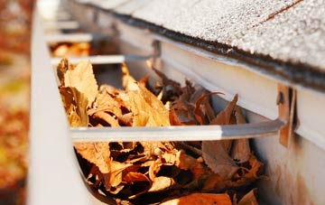 Old Swan gutter cleaning companies