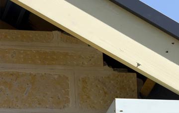 soffit repair Old Swan