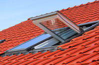 Old Swan roof window