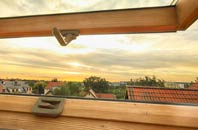rated Old Swan roof window companies